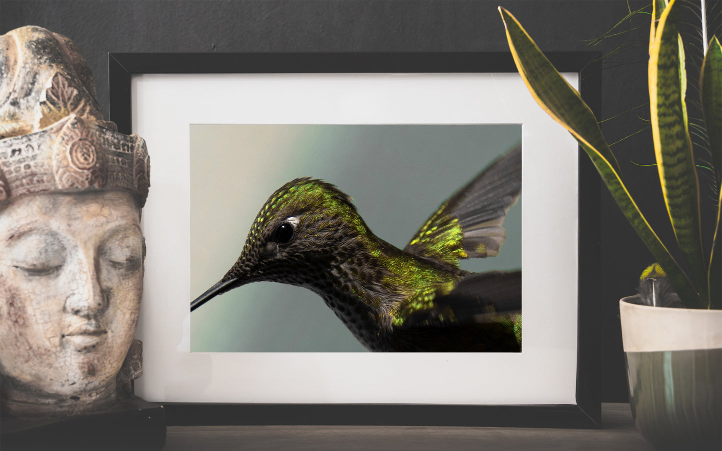 Cuadro Colibrí
