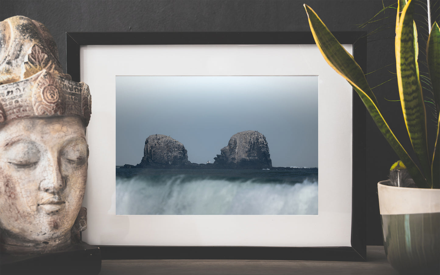 Cuadro Punta de Lobos