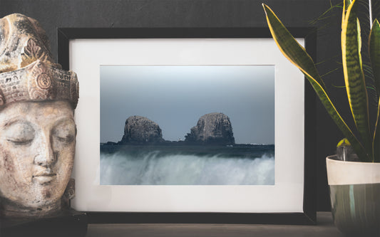 Cuadro Punta de Lobos